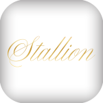 Stallion