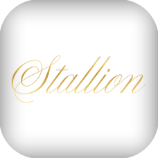 Stallion