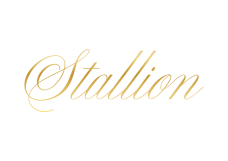 Logo Stallion