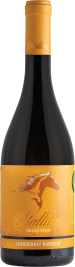 STALLION SELECTION 750 ml Chardonnay Barrique
