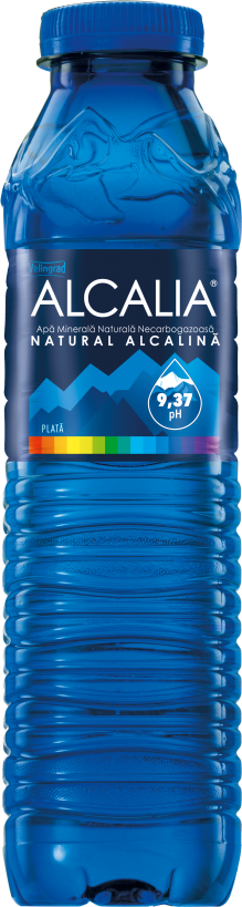 Velingrad 500 ml still water