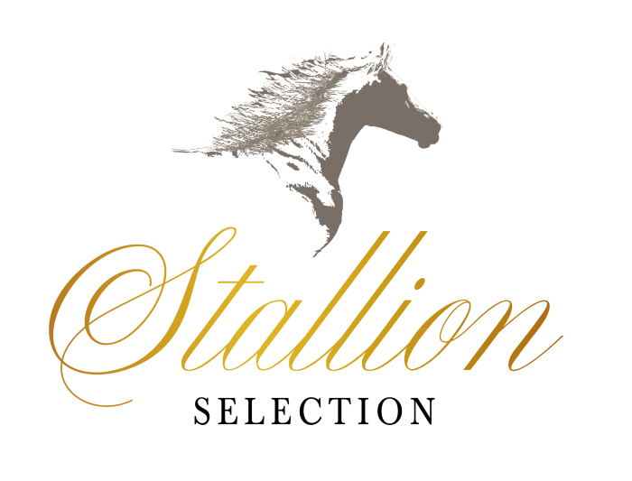 Logo Stallion + Konska Glava