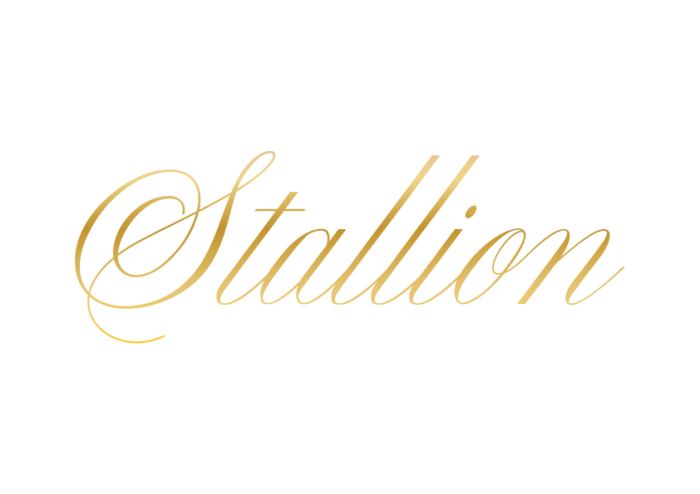 Logo Stallion