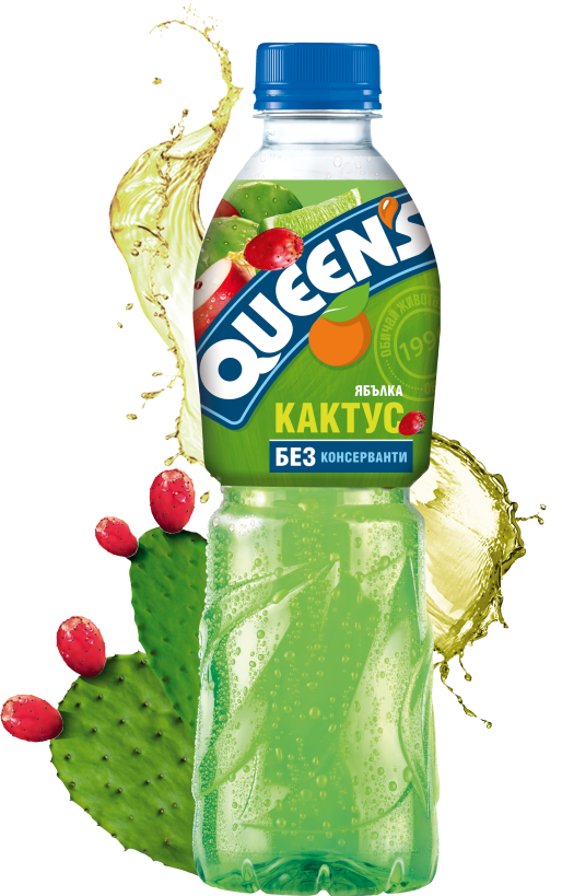 QUEENS 500 ml cactus