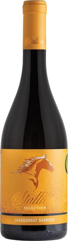 STALLION SELECTION 750 ml Chardonnay Barrique