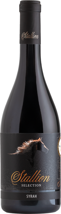 STALLION SELECTION 750 ml Syrah