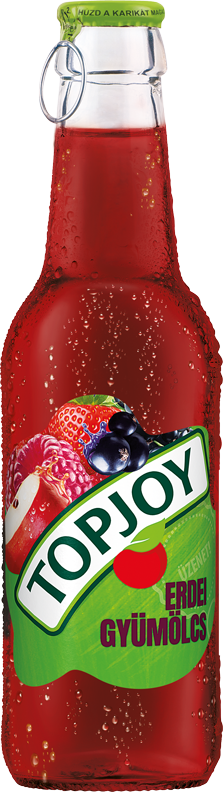 TOPJOY 250 ml Owoce leśne