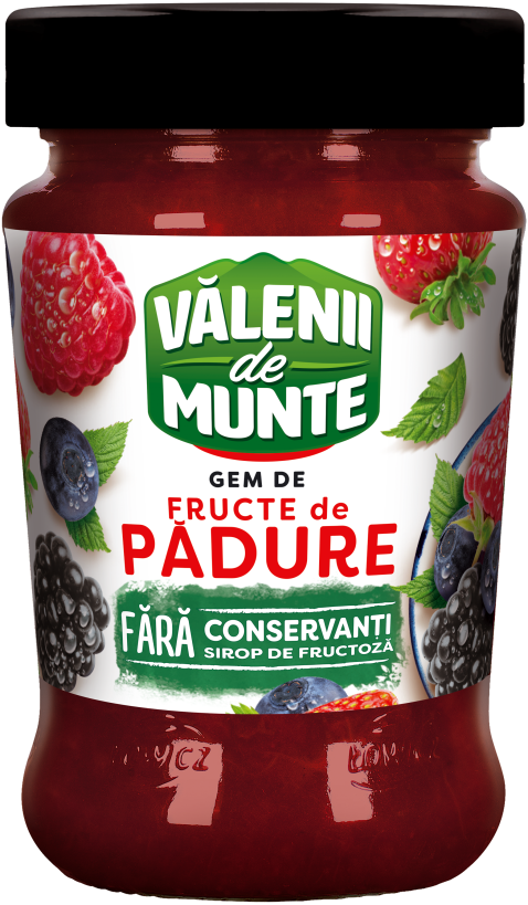 FOREST FRUIT JAM 280g