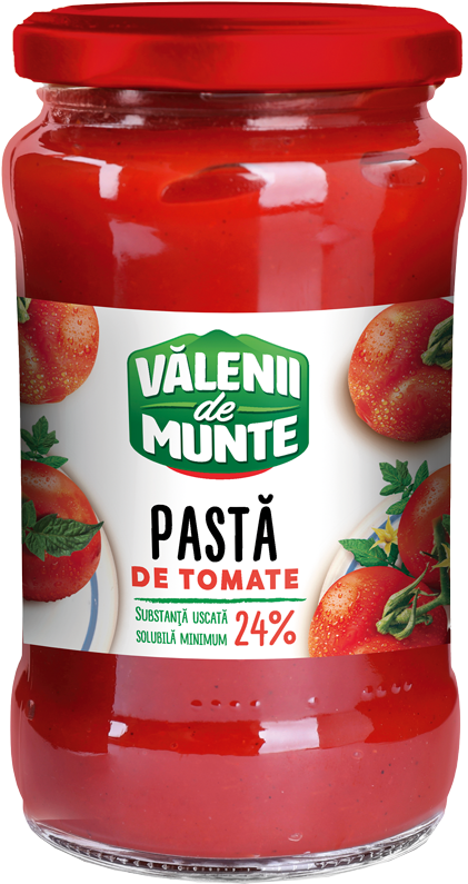 TOMATO PASTE 310g