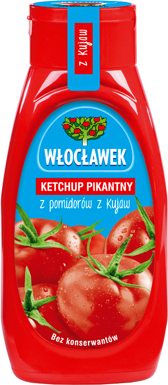 WŁOCŁAWEK 480 g hot ketchup